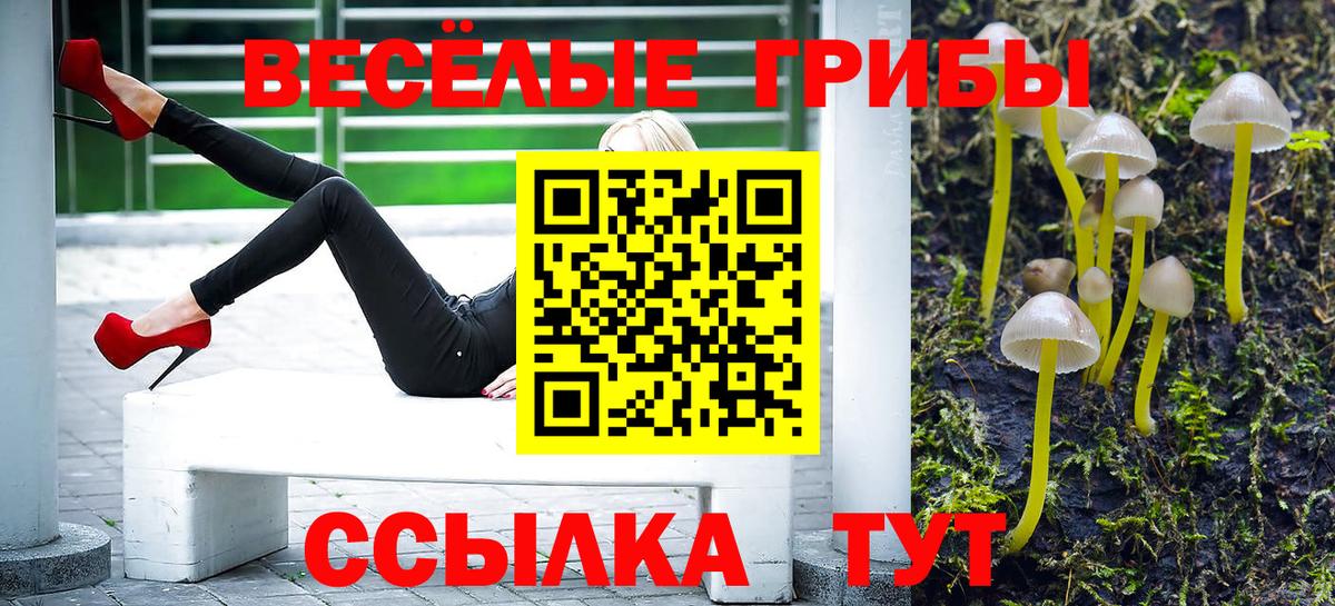 Псилоцибиновые грибы MAGIC MUSHROOMS Ипатово