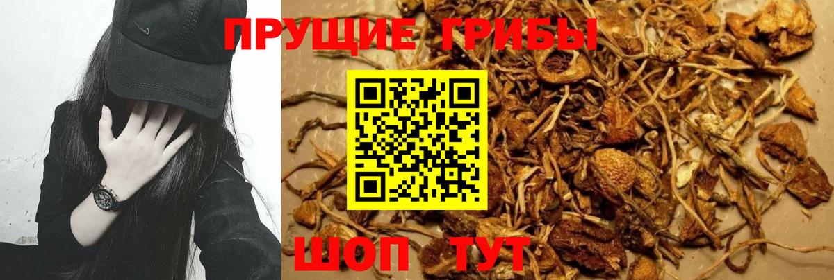 Ипатово  Псилоцибиновые грибы мицелий  Вход с VPN 
